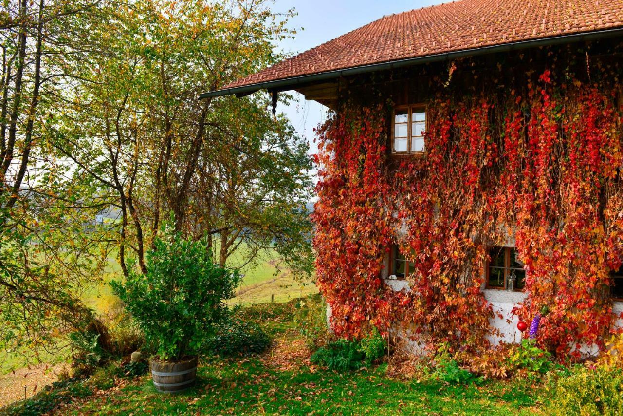 Hofatelier Menacher Neureichenau Exteriér fotografie